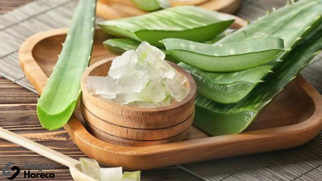 Aloe Vera Gel for Itchy Rashes